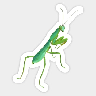 Giant shield mantis Sticker